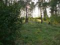 #5: Вид на запад/West view