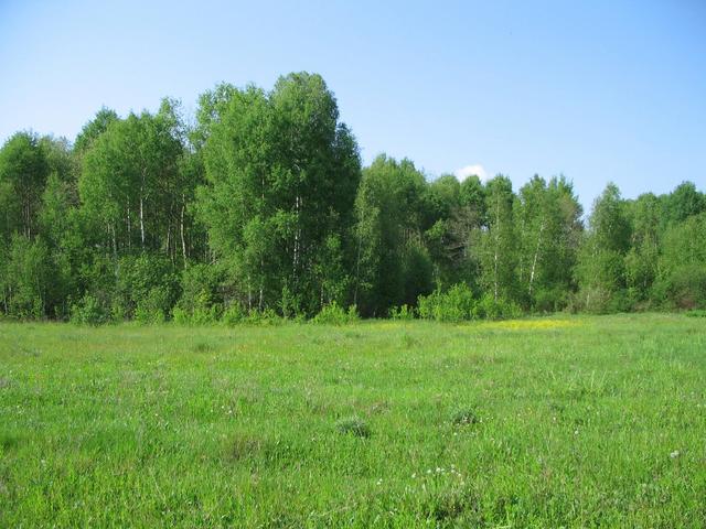 Confluence view from the South