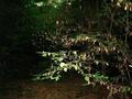 #3: East