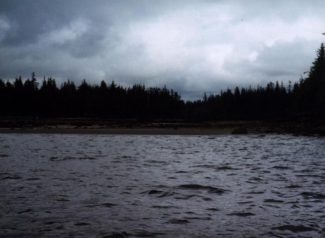 View toward the site and wolf tracks from the anchorage