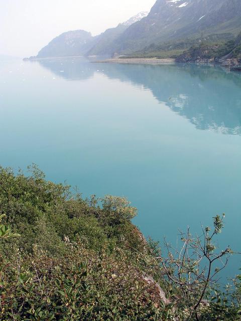 Looking down on Tarr Inlet from 59N 137W