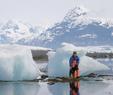 #5: Growler icebergs stranded at low water.