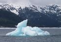 #6: Iceberg and Bald Eagle