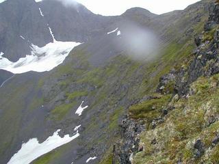 #1: Confluence on the Mossy Outcropping