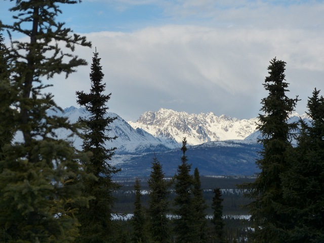 looking north toward Revelation mountains