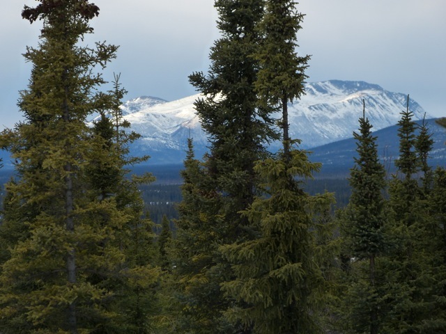 looking west out toward Lime Hills...