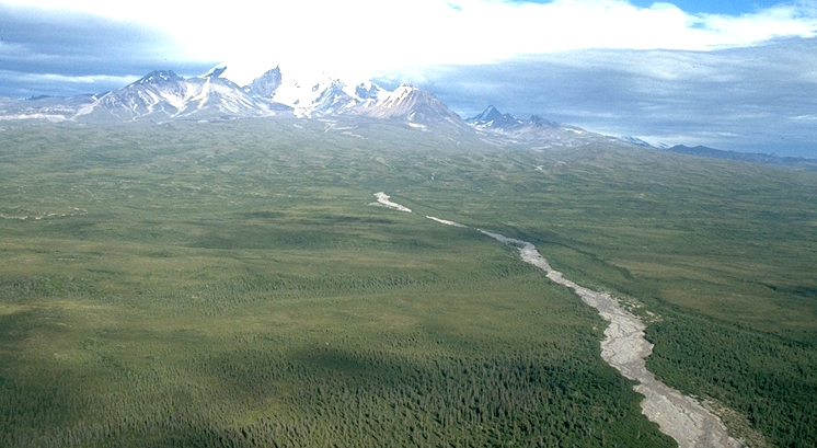 More of Mt Drum. Note the rippled lava flows at the base of the volcano.