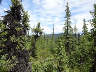 #1: The Confluence from 15 m distance