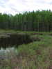 #2: The warm Alaskan swamp where 62N 150W was found