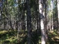 #5: View to the West