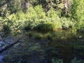 #9: The little creek