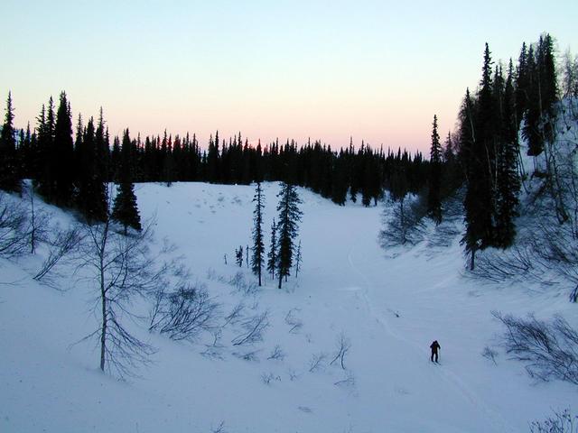 Carl skiing back from confluence visit - Denali & Foraker in distance