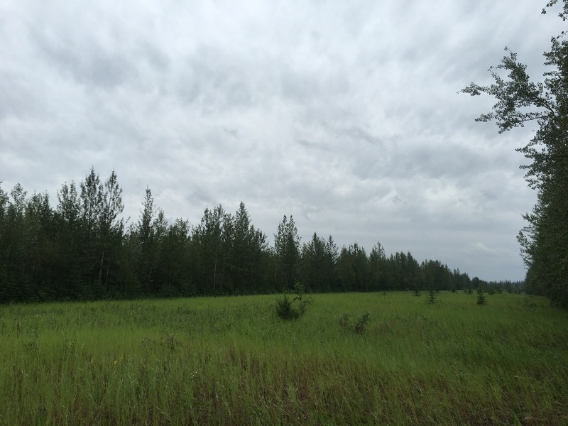 The Confluence from 70 m distance