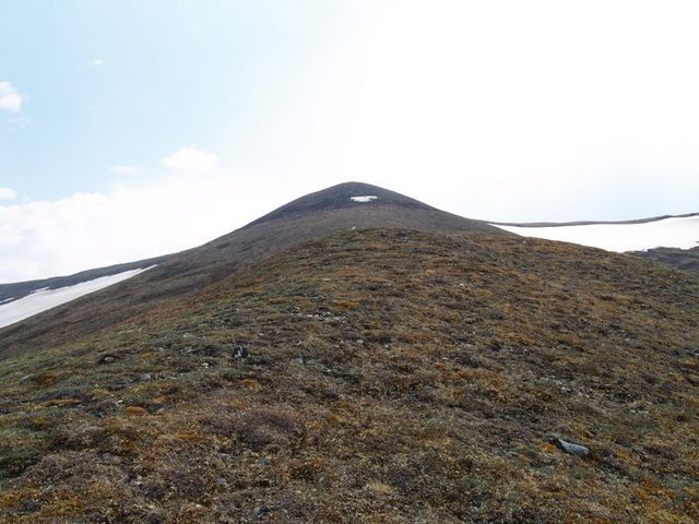 South from the confluence