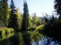 #10: Along the creek on the way to the confluence.