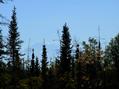 #3: View to the south with Denali in the background.