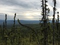 #10: Overview of the confluence valley at 700 m distance