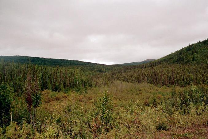 CP is in center of photo near the ridge line