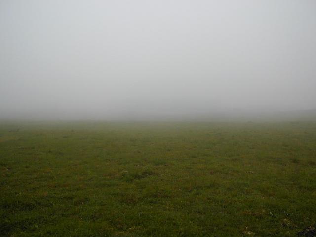 Fog we travelled the majority of the way through