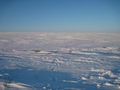 #4: Confluence point looking North