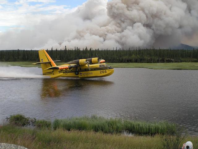 MN Dept. of Natural Resources Duck and the July 2004 Bettles Fire
