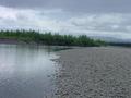 #7: On the John River, looking south from 67 N