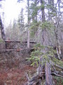 #2: View to the north from confluence site.