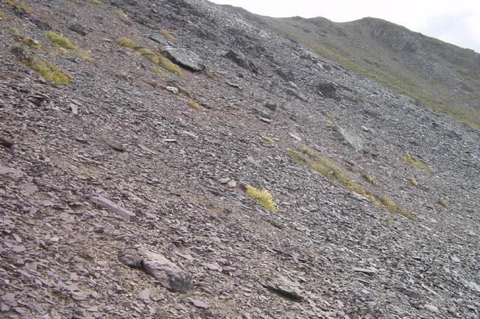Looking East, Along the Scree Slope