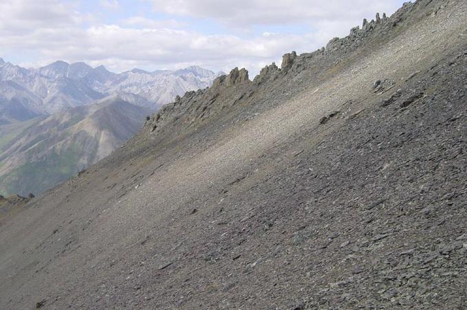Looking West, Along the Scree