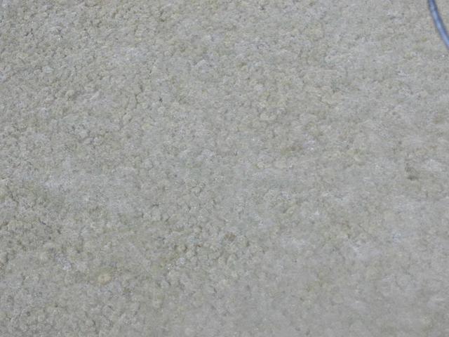 Zoom of Tundra