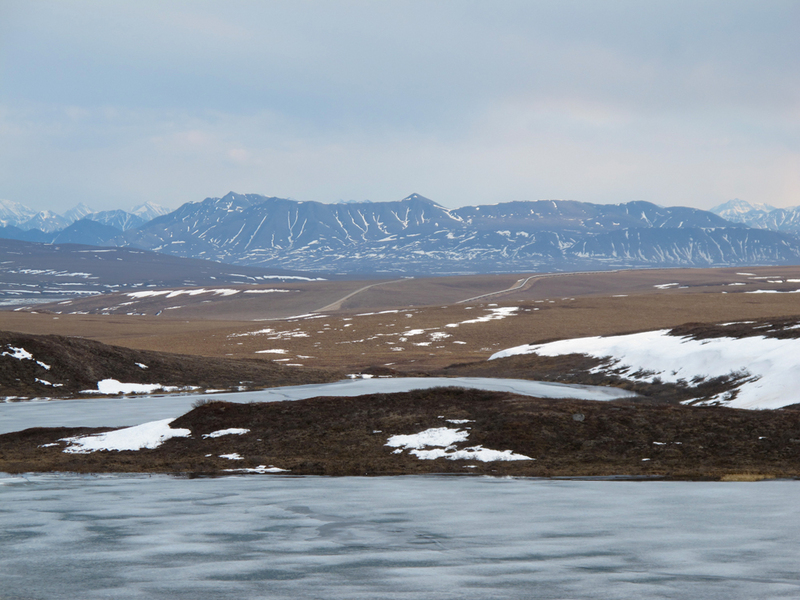 The view when hiking back to the car.  The Dalton Highway and pipeline are in the background.