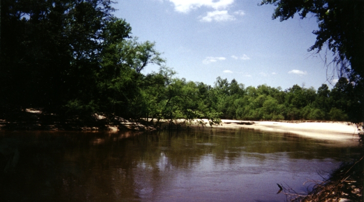 The beautiful Pea river, a short walk South of the confluence. (Water towards bottom of picture, sandy beach in middle.)