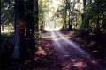 Visit #1: [10-Oct-98]