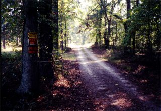 #1: The confluence is located .12 miles down this road.