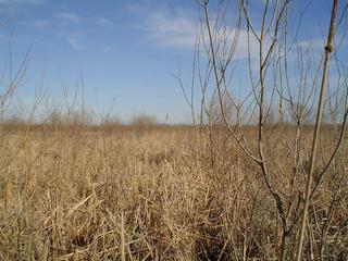 #1: Confluence from about 30 meters away