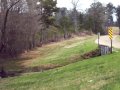 #2: White boundary line painted on trees near Old Highway 231