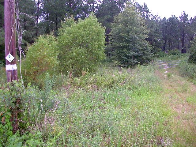 The starting gate--1.38 miles southeast of the confluence