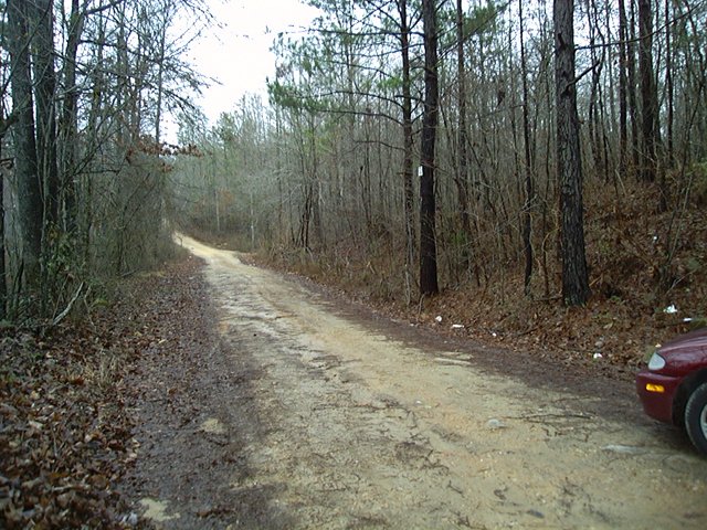 My car and the road one third mile from the confluence