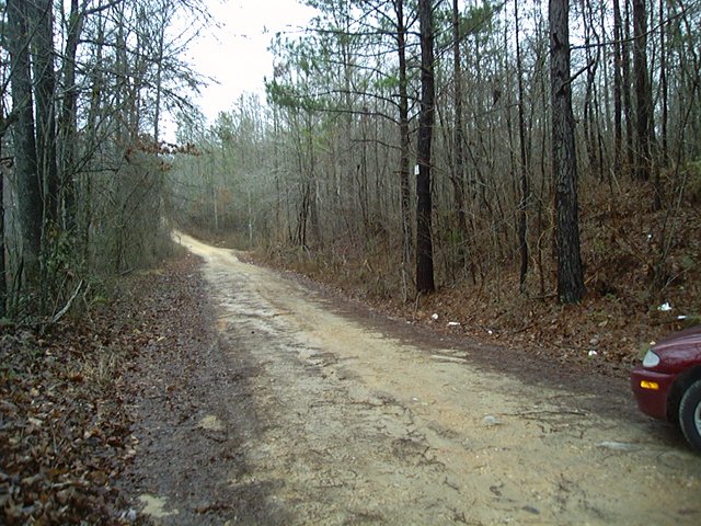 My car and the road one third mile from the confluence