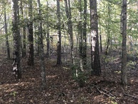 #5: View to the north from the confluence point.