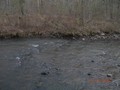 #8: The point where I crossed Six Mile Creek.