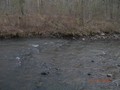 #8: The point where I crossed Six Mile Creek.