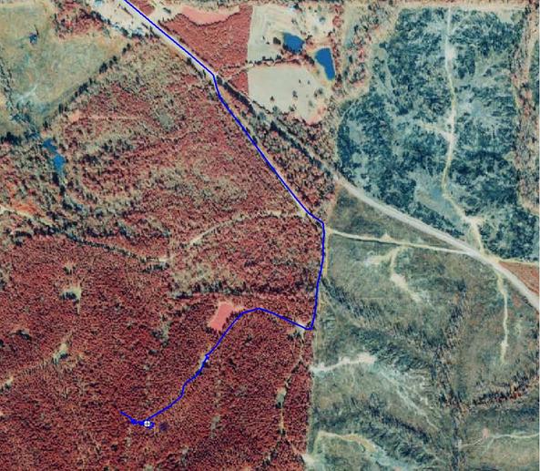 Color infrared aerial view of confluence.  Blue line is our GPS track.  White target is our GPS coordinate of the confluence.