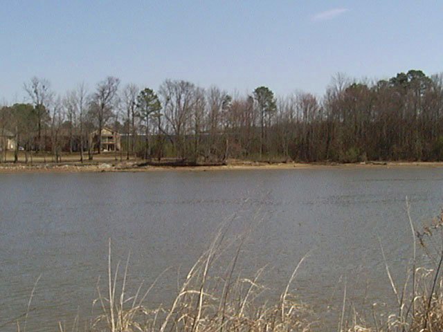 Looking east to the apartment complex and confluence