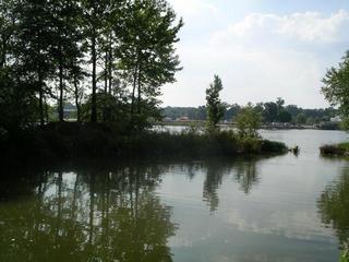 #1: looking west toward the point which is about 60 meters distant