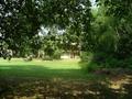 #2: looking east to the grassy area and an apartment building.