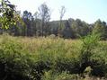 #4: View to the southeast from the confluence.