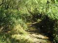 #6: Stream, four meters south of the confluence, looking northeast.