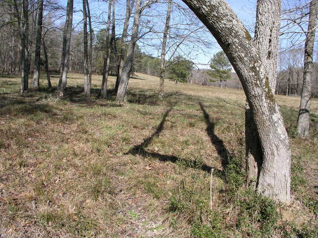 Looking North from 34N 087W.