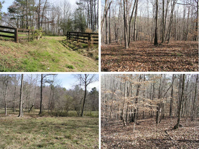 Clockwise from the upper left, four views to the east on the approach from the road to the west along the 34th parallel.